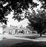 Langton, 1965